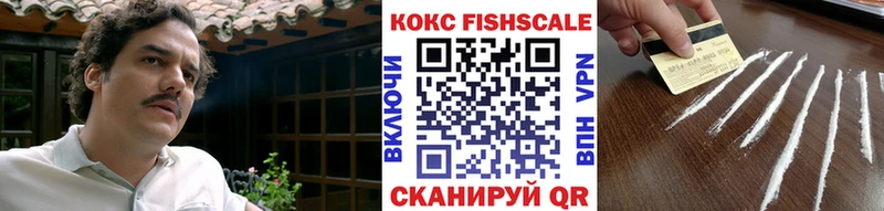 Купить закладки  Дигора  COCAIN 99% 