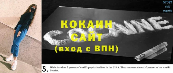 спиды Богданович
