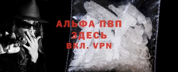 спиды Богданович