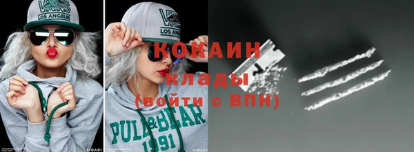 спиды Богданович