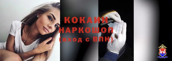 спиды Богданович