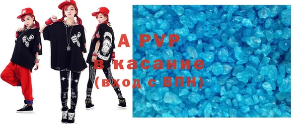 спиды Богданович