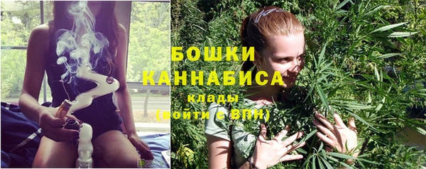 спиды Богданович