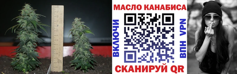 Дистиллят ТГК вейп  Купить закладки  Дигора 