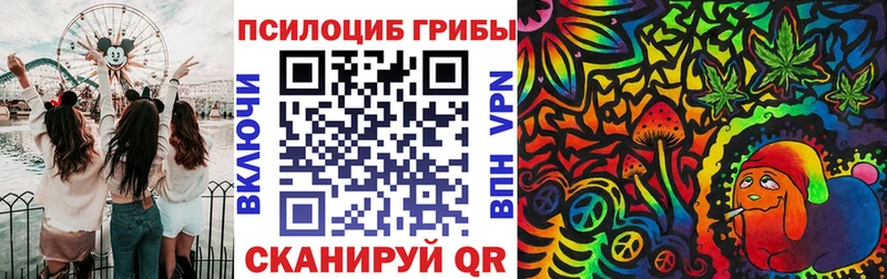 Купить закладки Дигора Псилоцибиновые грибы Cubensis